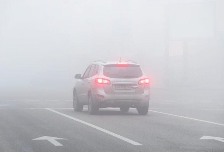 Where Viruses Come From — and Where They Vanish